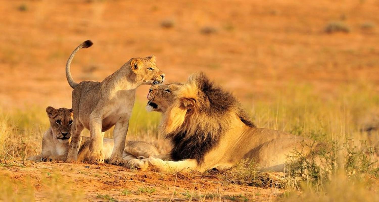6-Day Cultural & Wildlife Safari in Tanzania