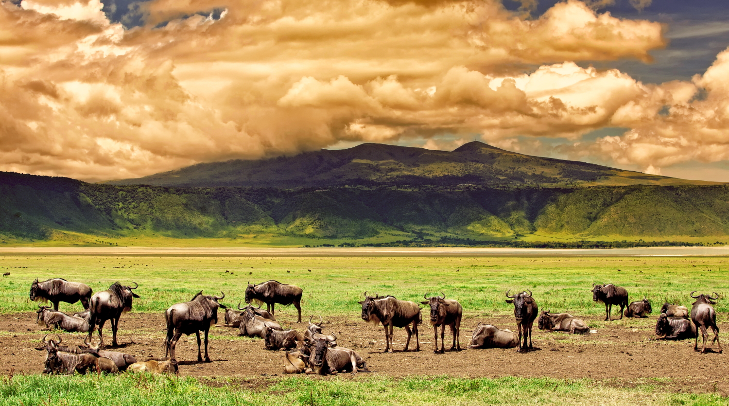 Exclusive 9-Day Tanzania Safari