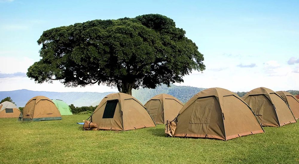 11 Days Budget Camping Safari and Nature Tour Tanzania