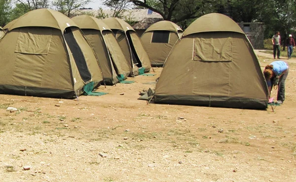 12 Days Best Tanzania Budget Wildlife Camping Safari