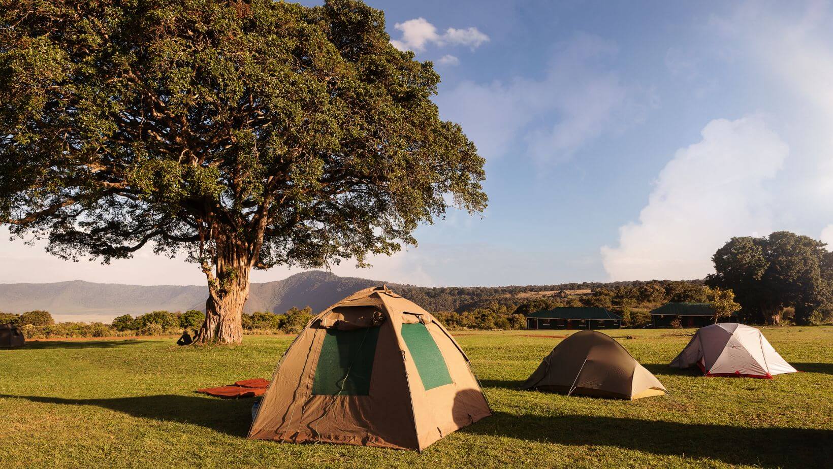 7 Days Affordable Tanzania Safari Holiday