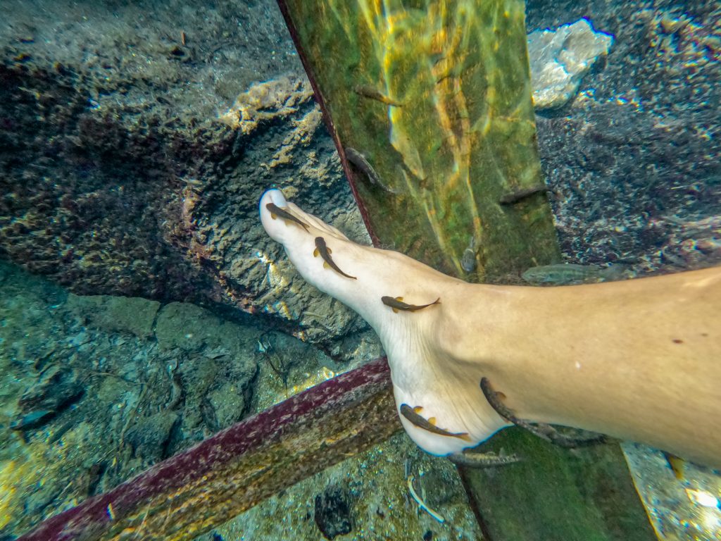 Chemka Hot Springs & Wildlife Drive