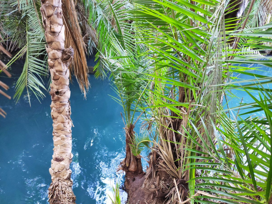 Chemka Springs Picnic & Hiking