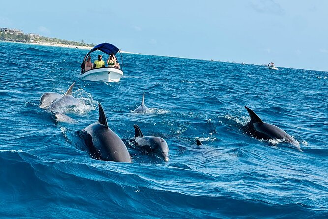 2 Days Best of Zanzibar Activities Package