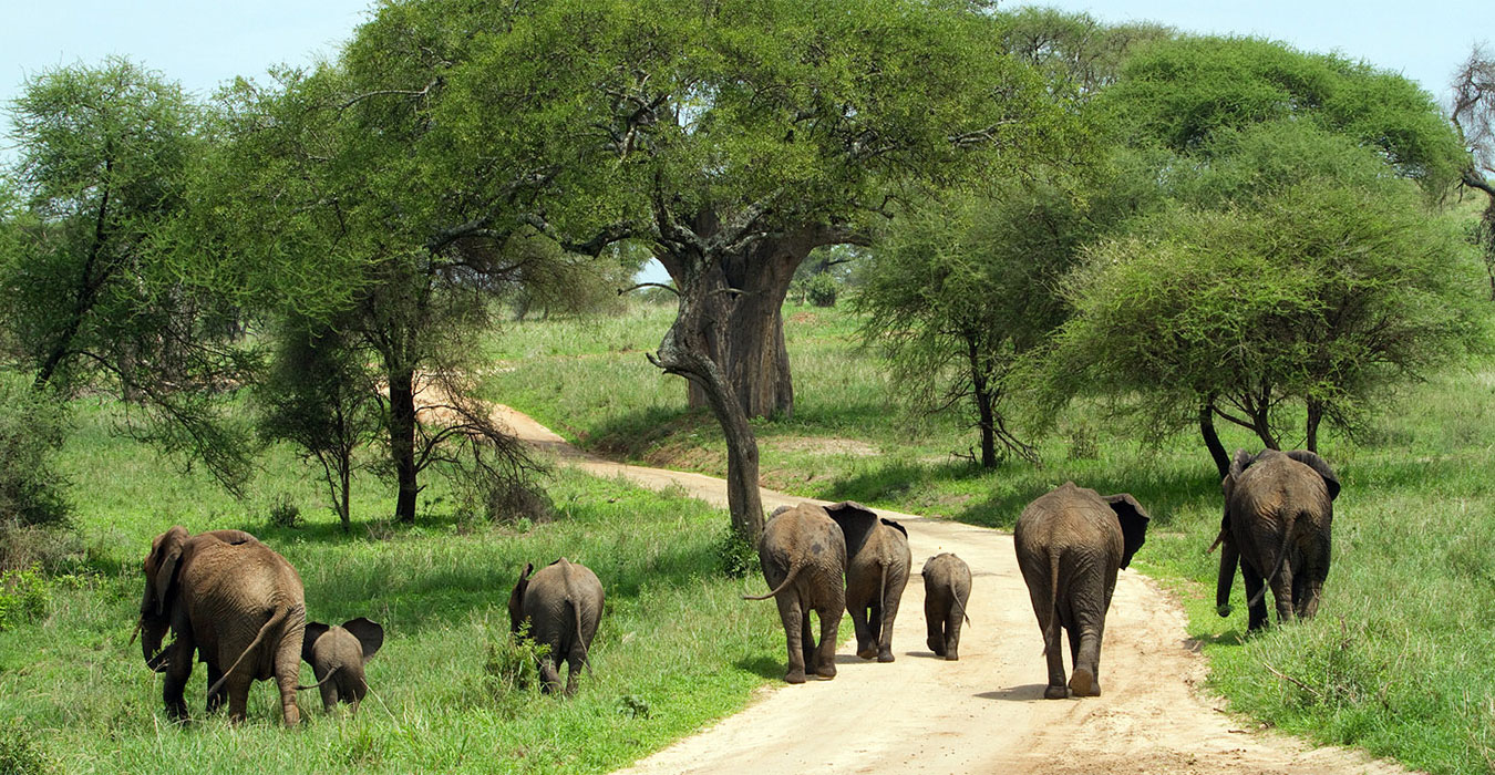 6-Day Cultural & Wildlife Safari in Tanzania