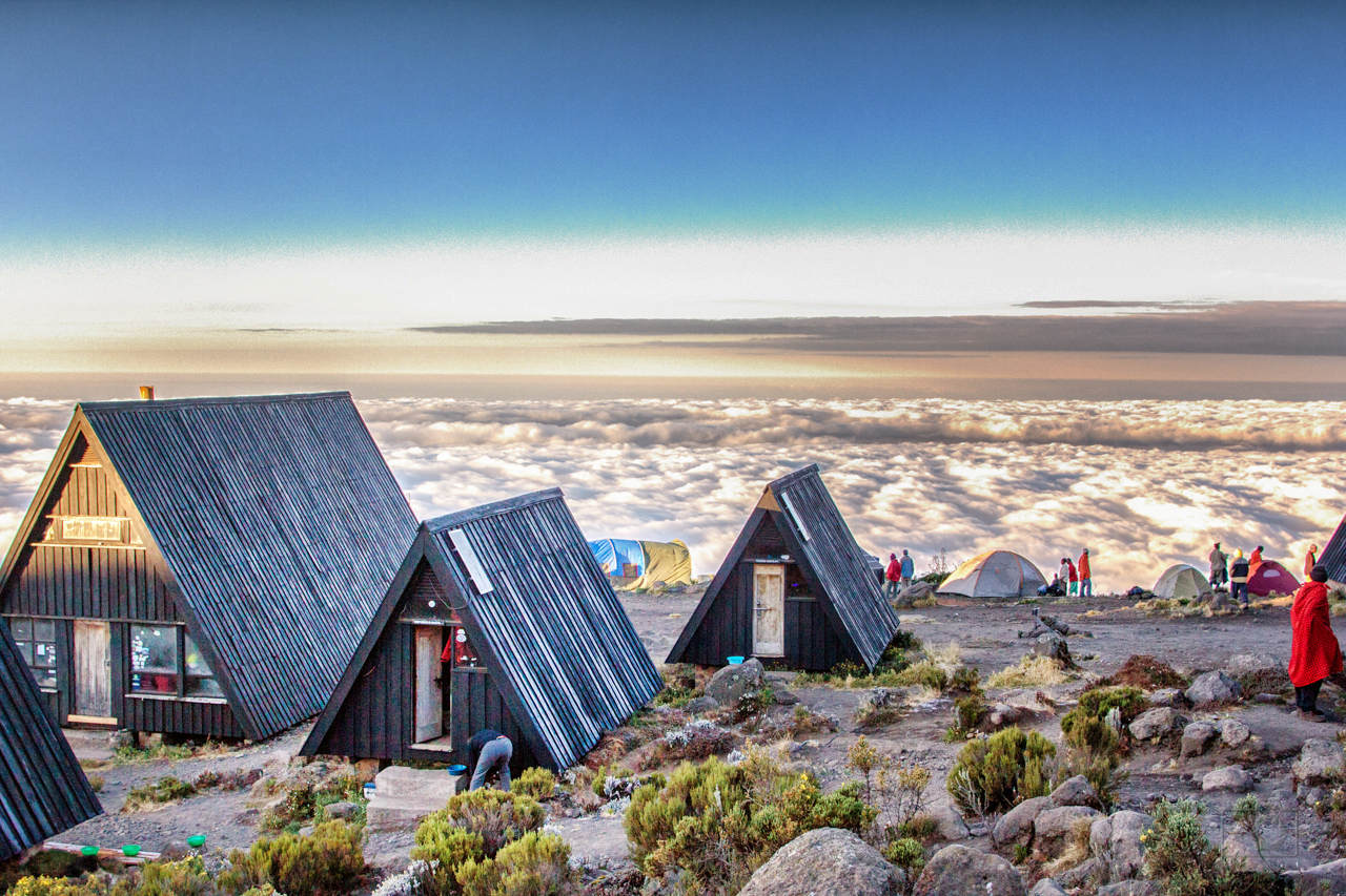 Exclusive 14-Day Tanzania Safari