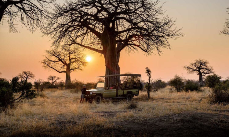 3-Day Fly-In Safari from Zanzibar to Mikumi