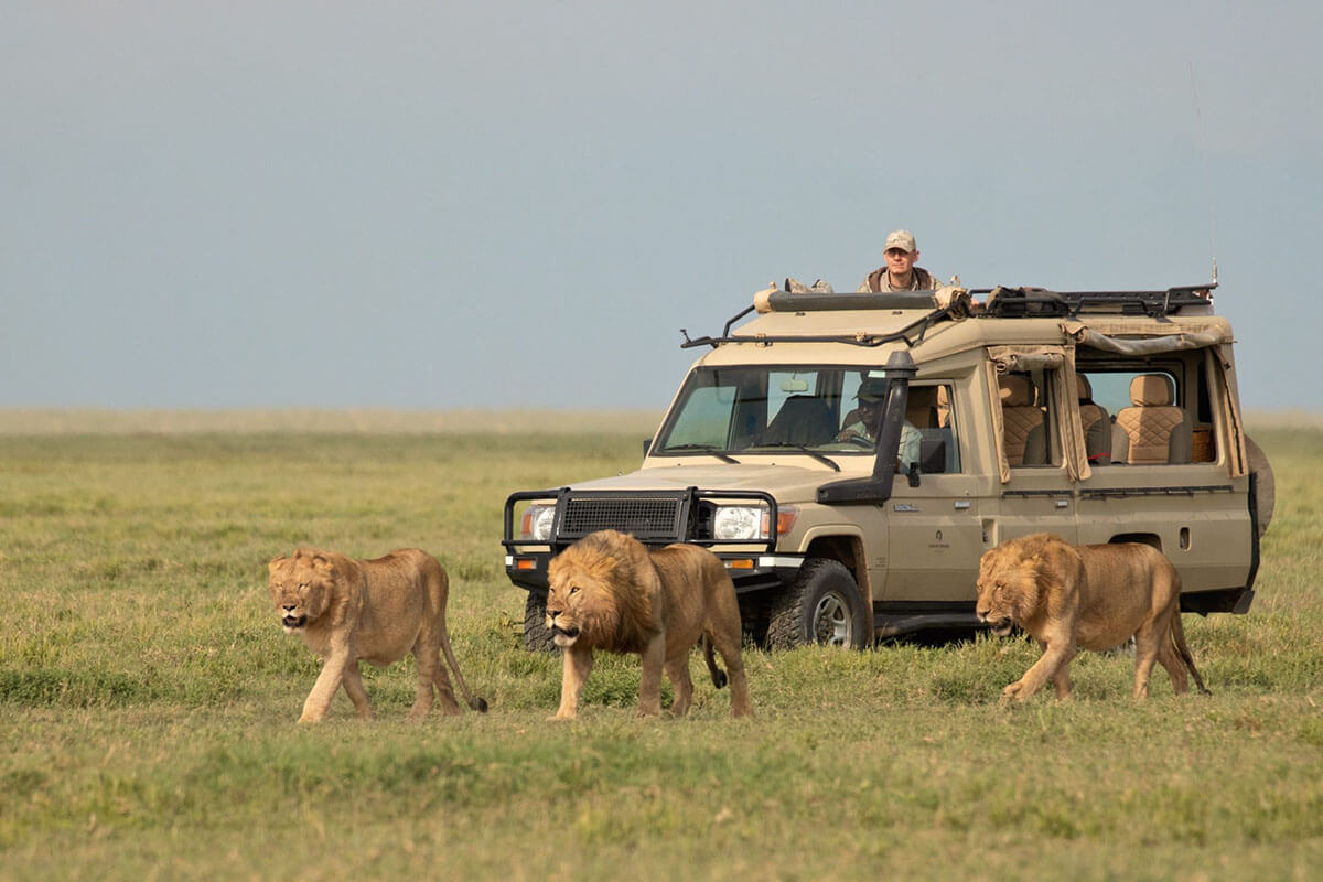 5-Day Fly-In Tanzania Safari