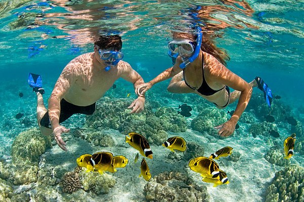 12-Day Tanzania Safari & Zanzibar Beach Holiday