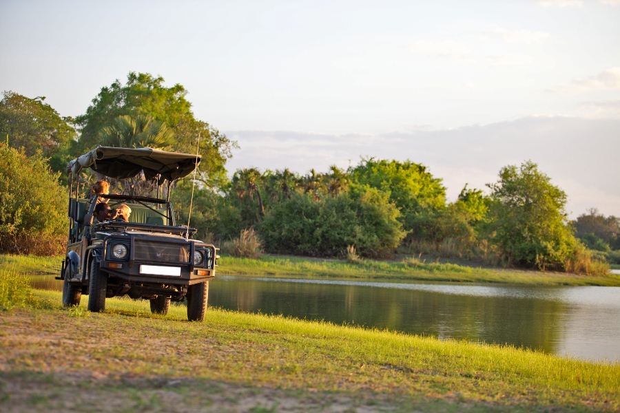 6 Days Luxury Fly-In Safari from Zanzibar to Nyerere & Ruaha National Parks