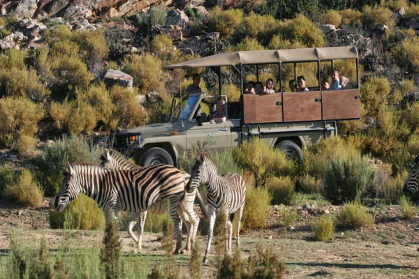 5 Days Exclusive Fly-In Safari from Zanzibar to Nyerere National Park (Selous Kulinda Camp)