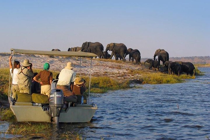 5 Days Luxury Fly-In Safari from Zanzibar to Nyerere & Ruaha National Parks