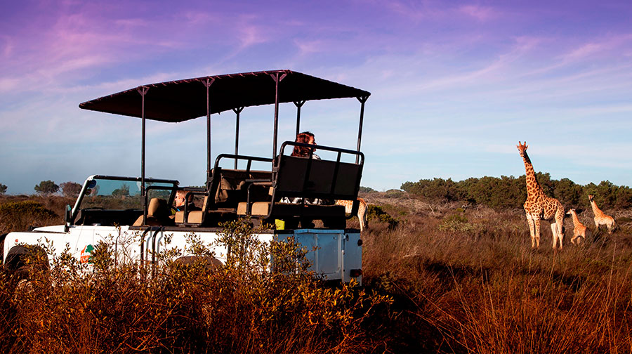 5 Days Luxury Fly-In Safari from Zanzibar to Nyerere & Ruaha National Parks