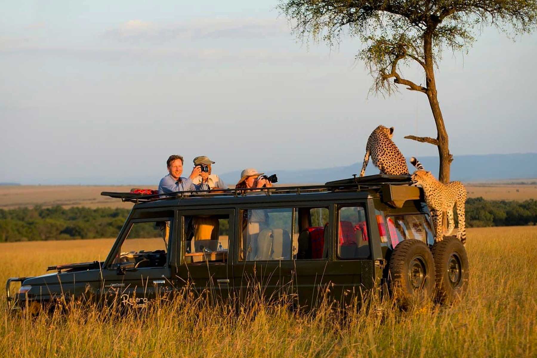 Exclusive 14-Day Tanzania Safari