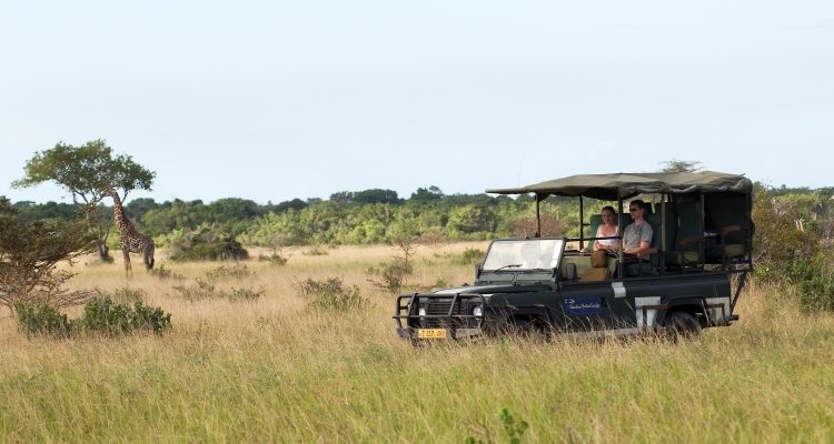 Saadani birdwatching safari
