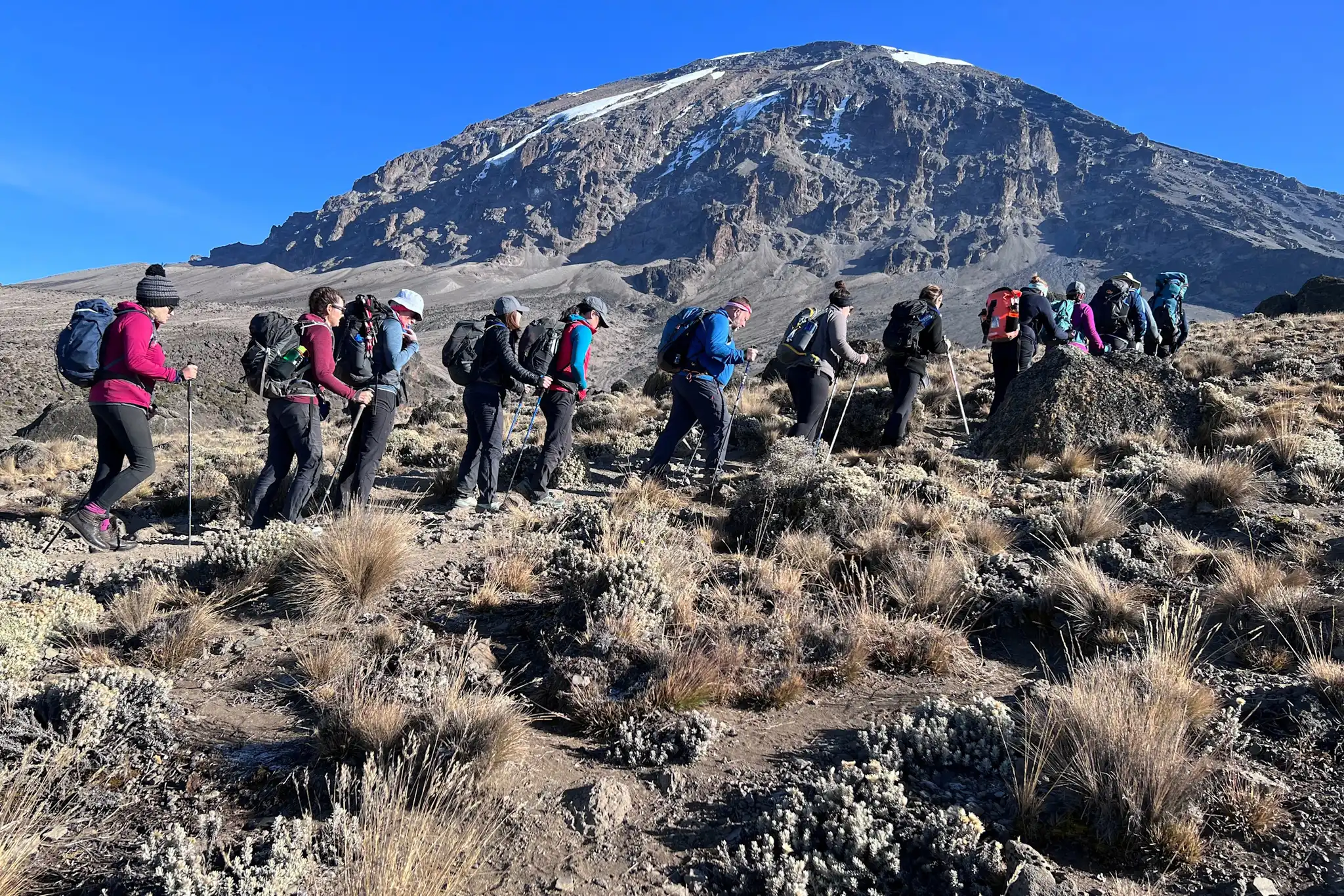 Kilimanjaro climb & safari package