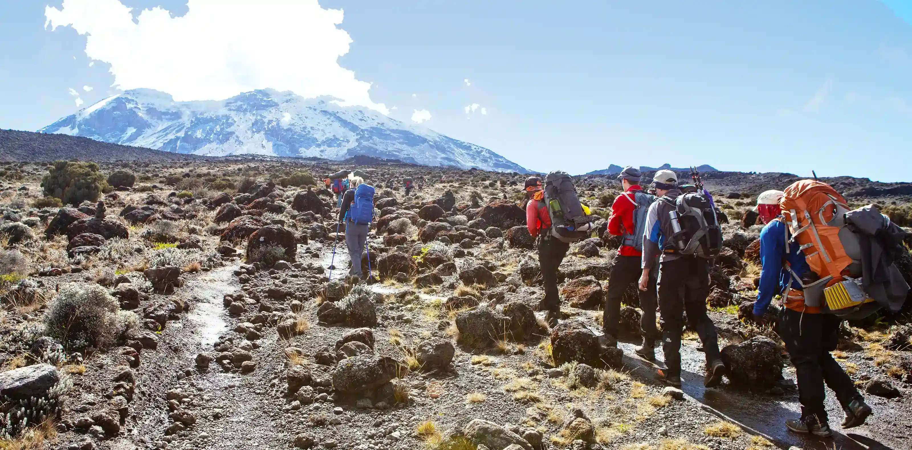 Best Guide Kilimanjaro Climb in December Packages