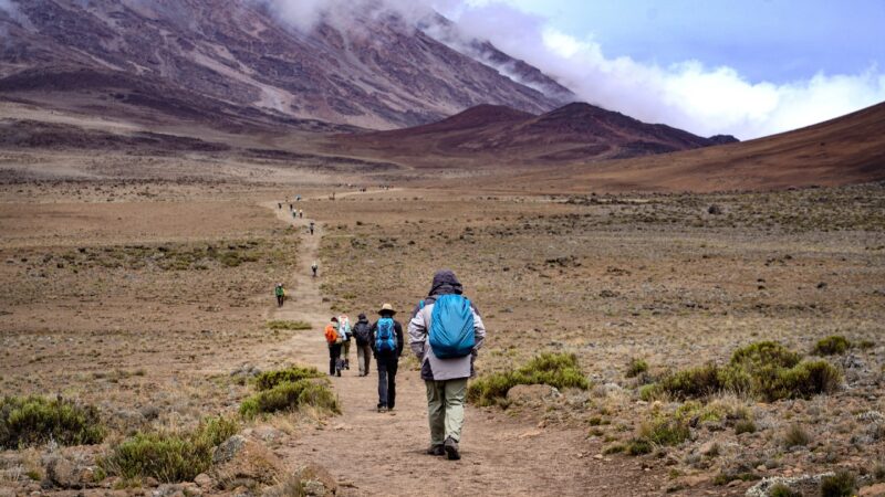 Luxury Serengeti & Kilimanjaro Trekking