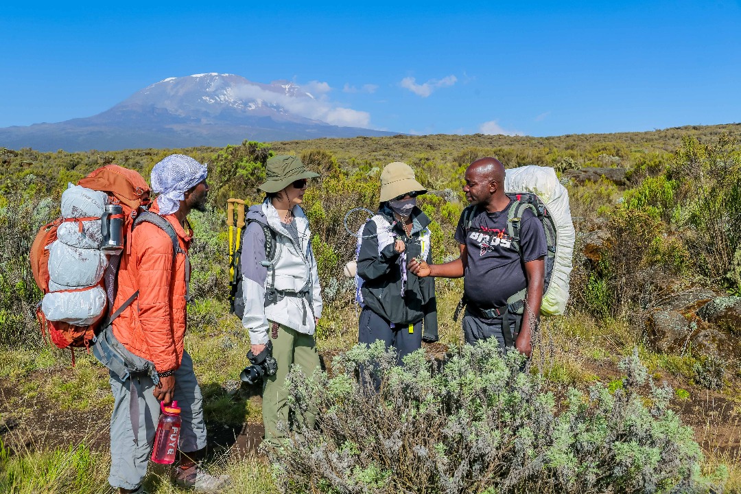 Kilimanjaro climb & safari holidays