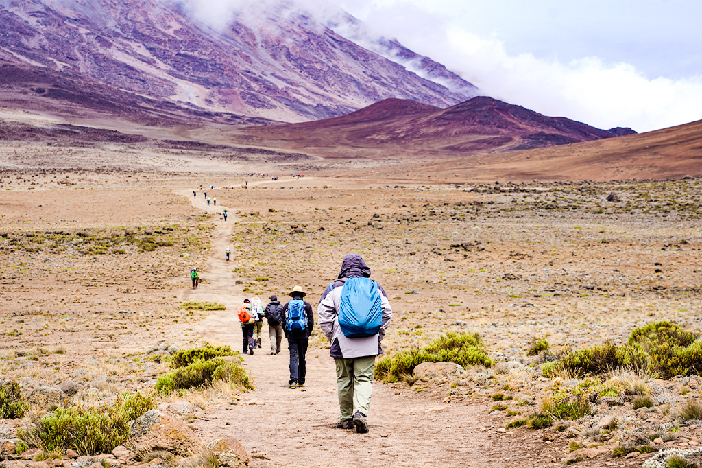 Kilimanjaro History & Culture Trail