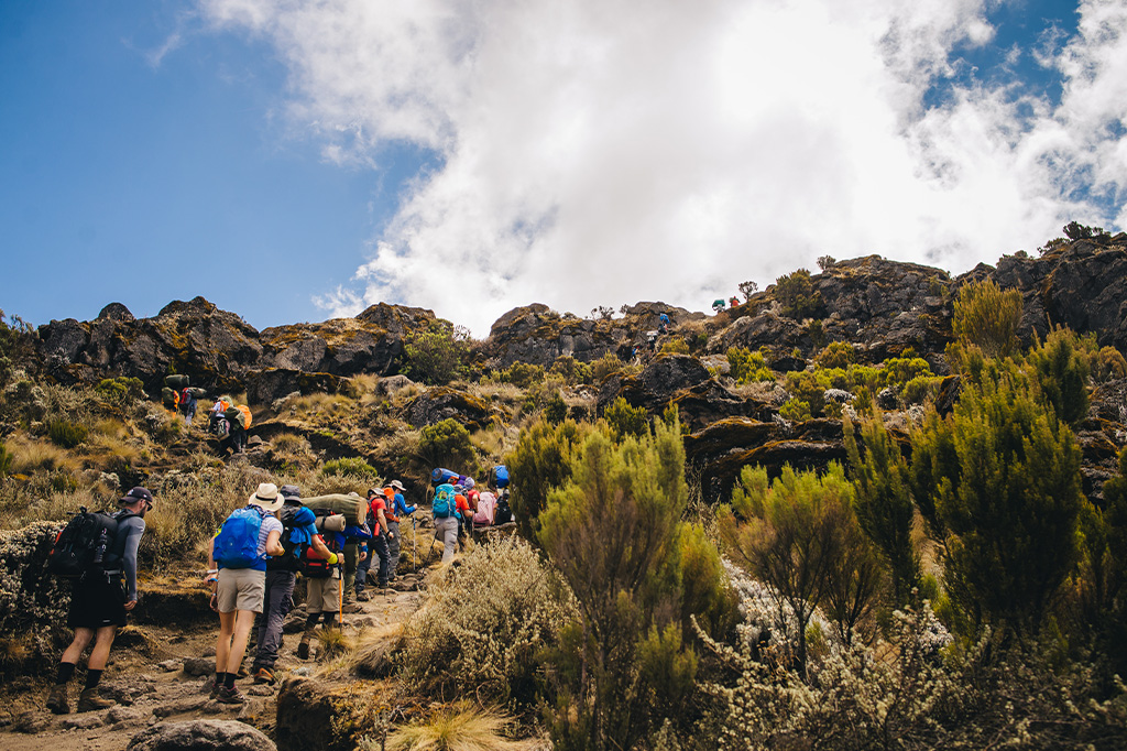 Kilimanjaro History & Culture Trail