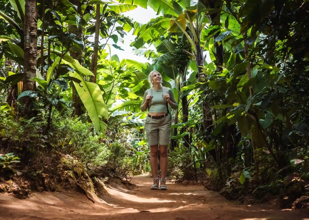 Kilimanjaro History & Culture Trail