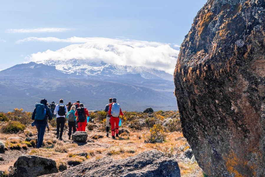 Kilimanjaro Nature Walk & Picnic