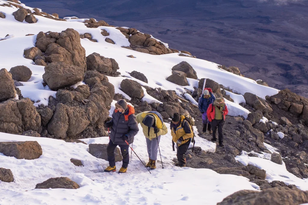 Kilimanjaro Luxury Climb + Wildlife Safari