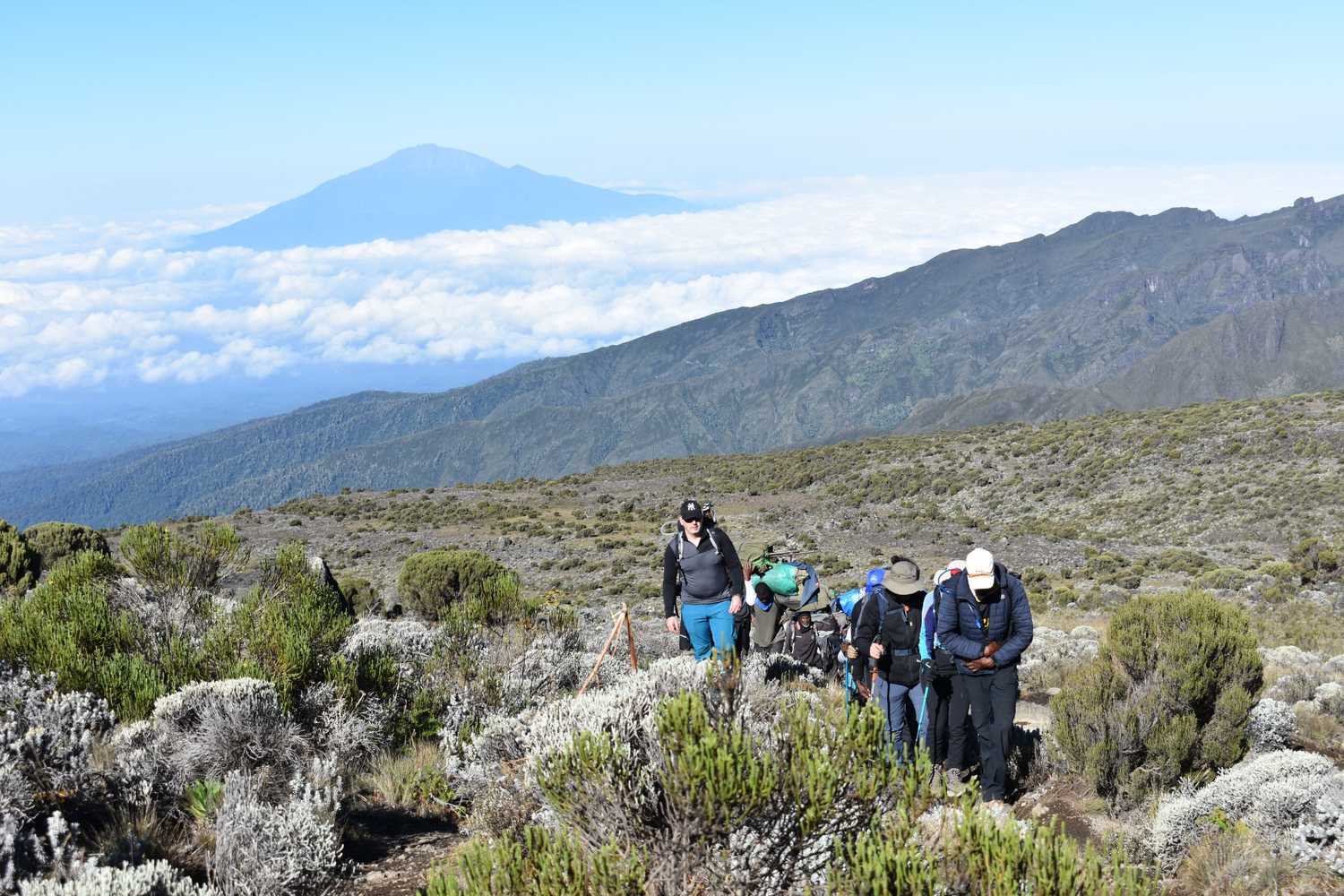 7-day safari & Kilimanjaro climb combo