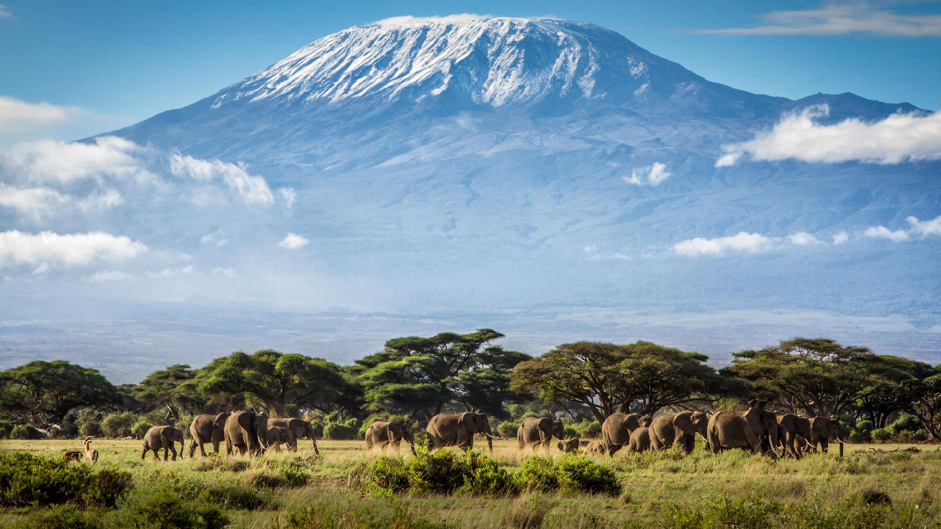 Kilimanjaro trekking itinerary 2025, Summit day itinerary