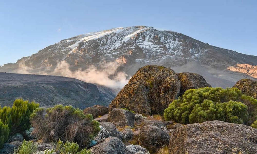 Kilimanjaro Nature Walk & Picnic