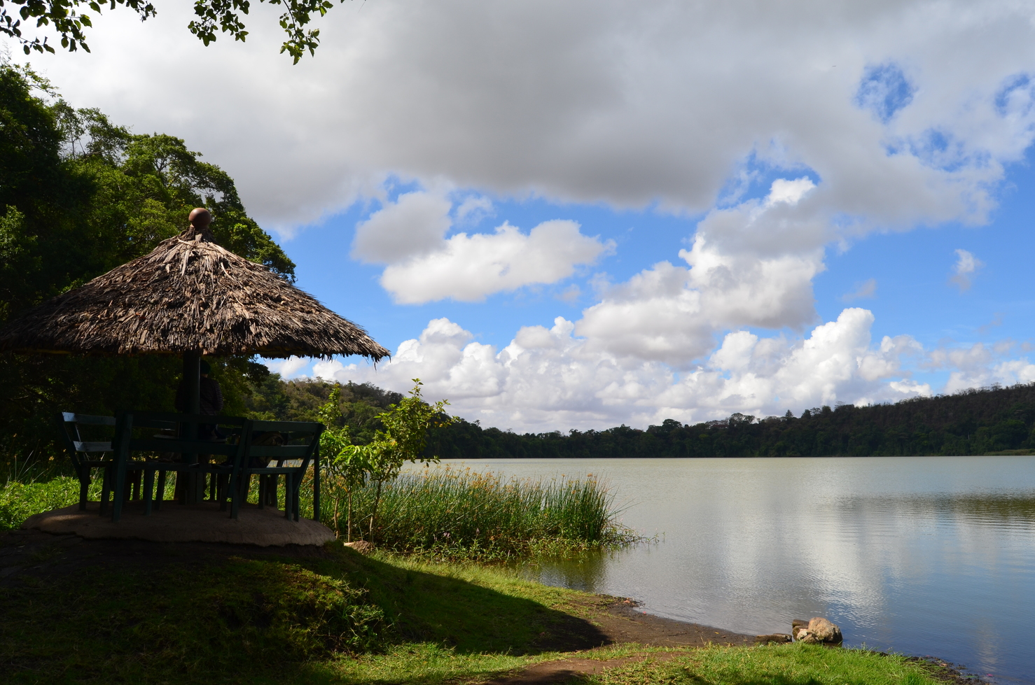Lake Duluti Canoeing & Nature Walk