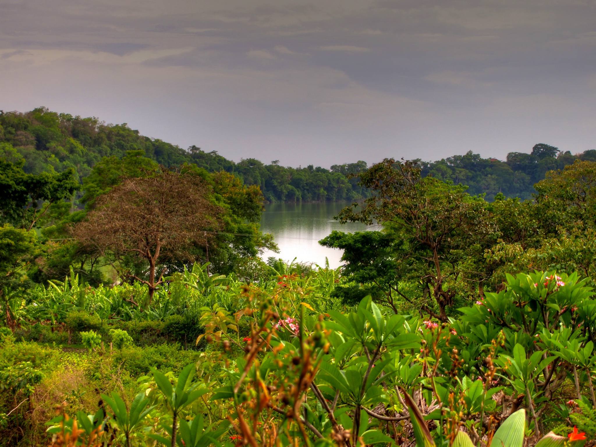 Lake Duluti Canoeing & Nature Walk