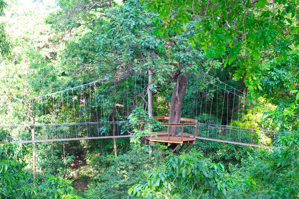 Lake Manyara + Treetop Walkway