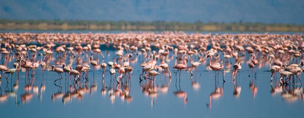 Lake Natron best time to visit