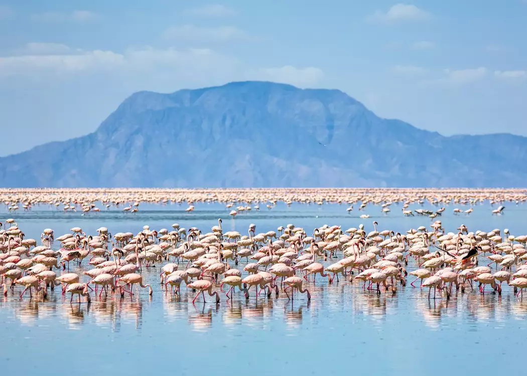 12-Day Tanzania Safari & Zanzibar Beach Holiday