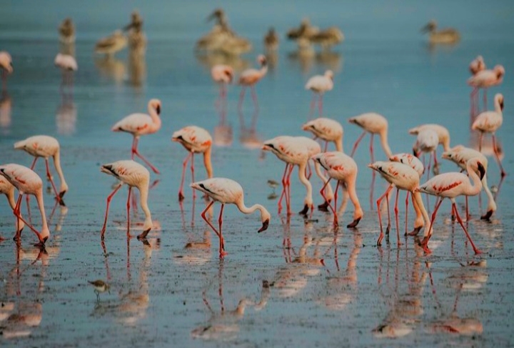 11-Day Tanzania Safari & Cultural Discovery