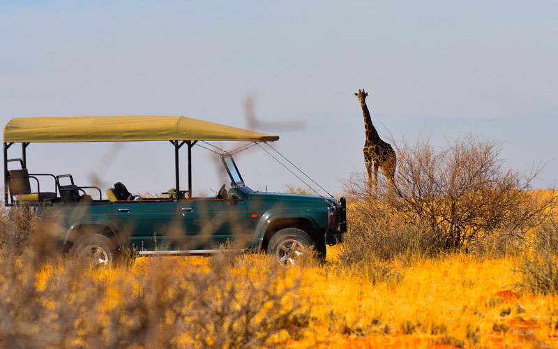 Tailor-made Tanzania luxury safari tours