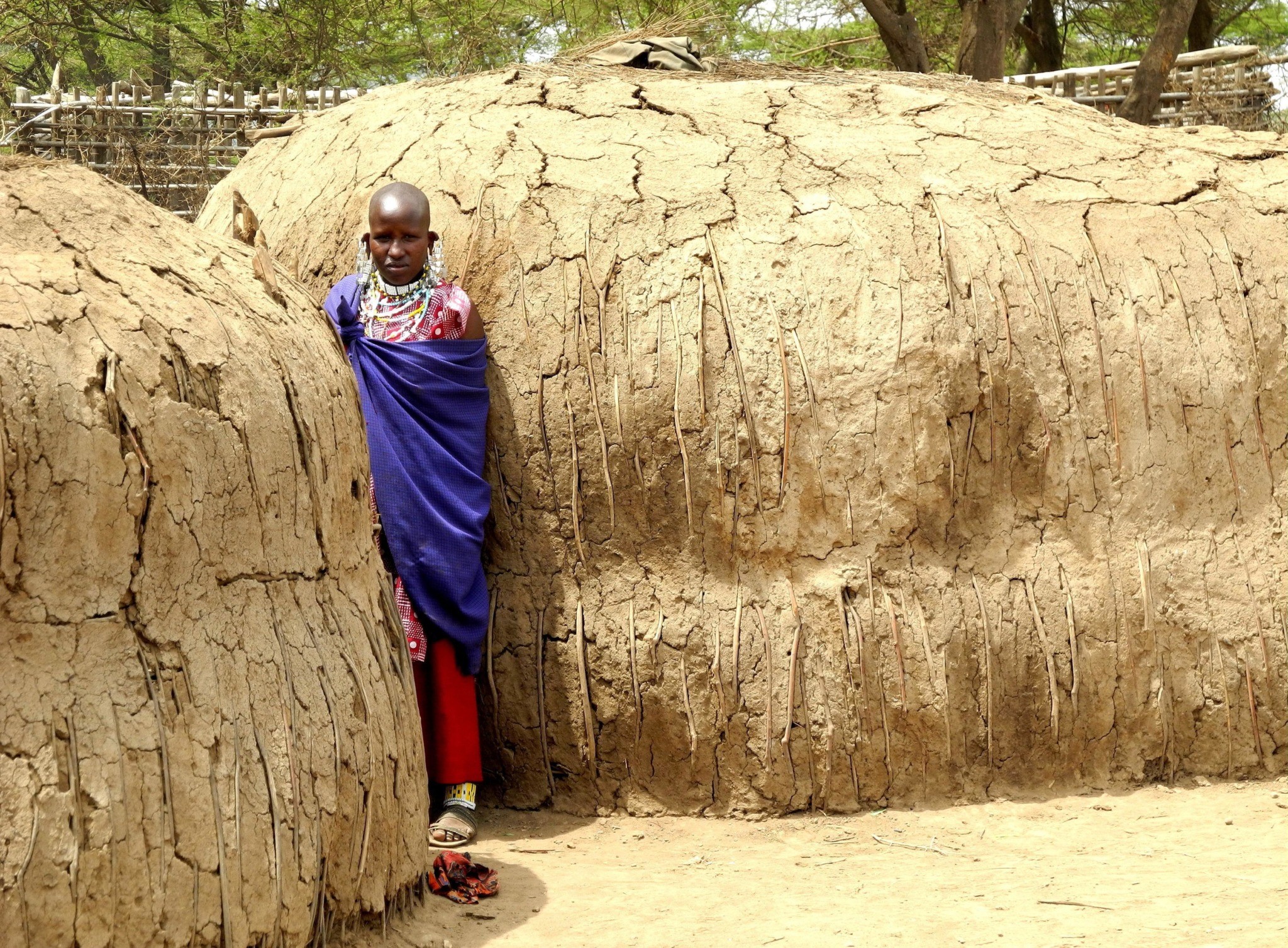 Maasai Boma + Bush Walk Experience