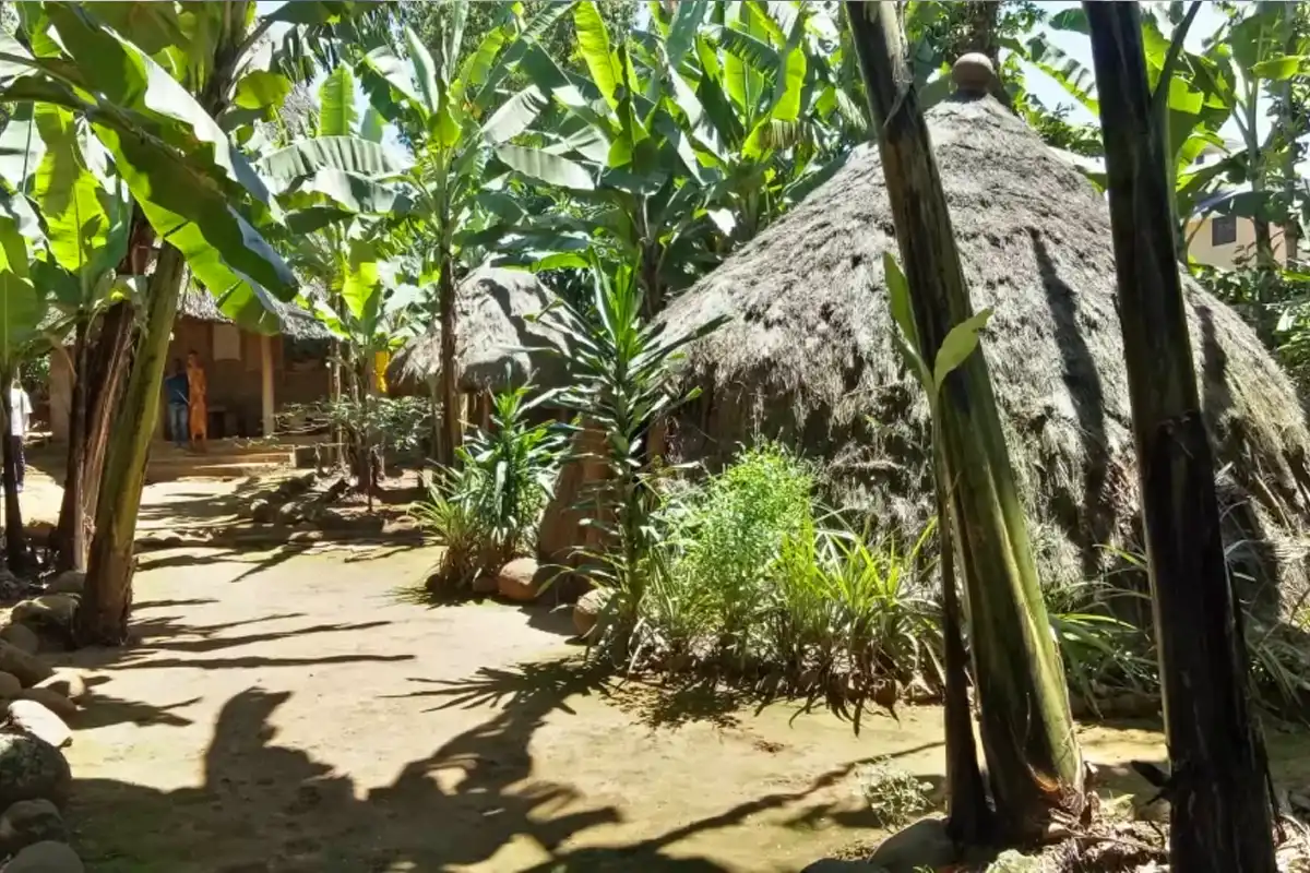 Marangu Village Culture & Nature