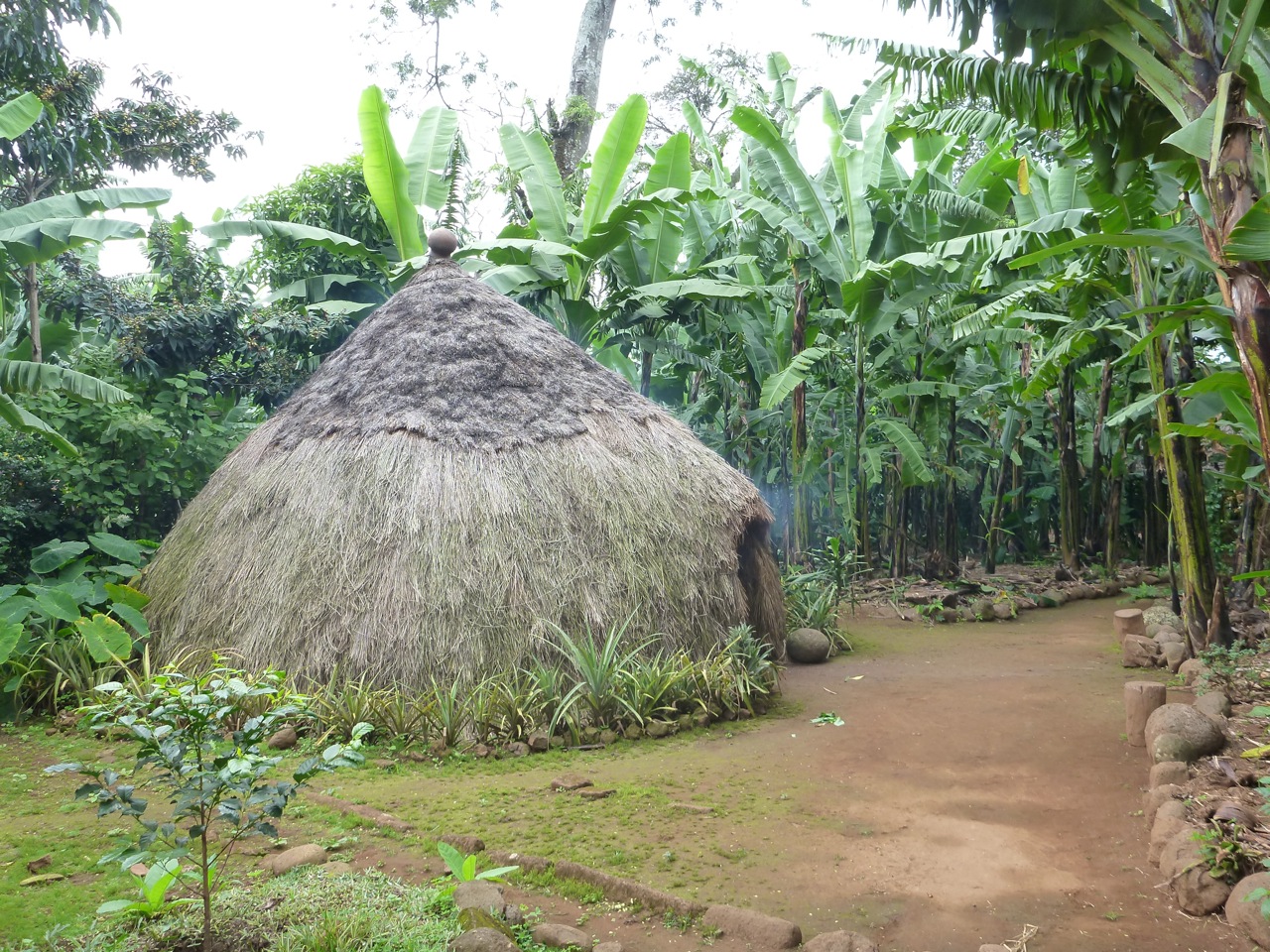 Marangu Village Culture & Nature