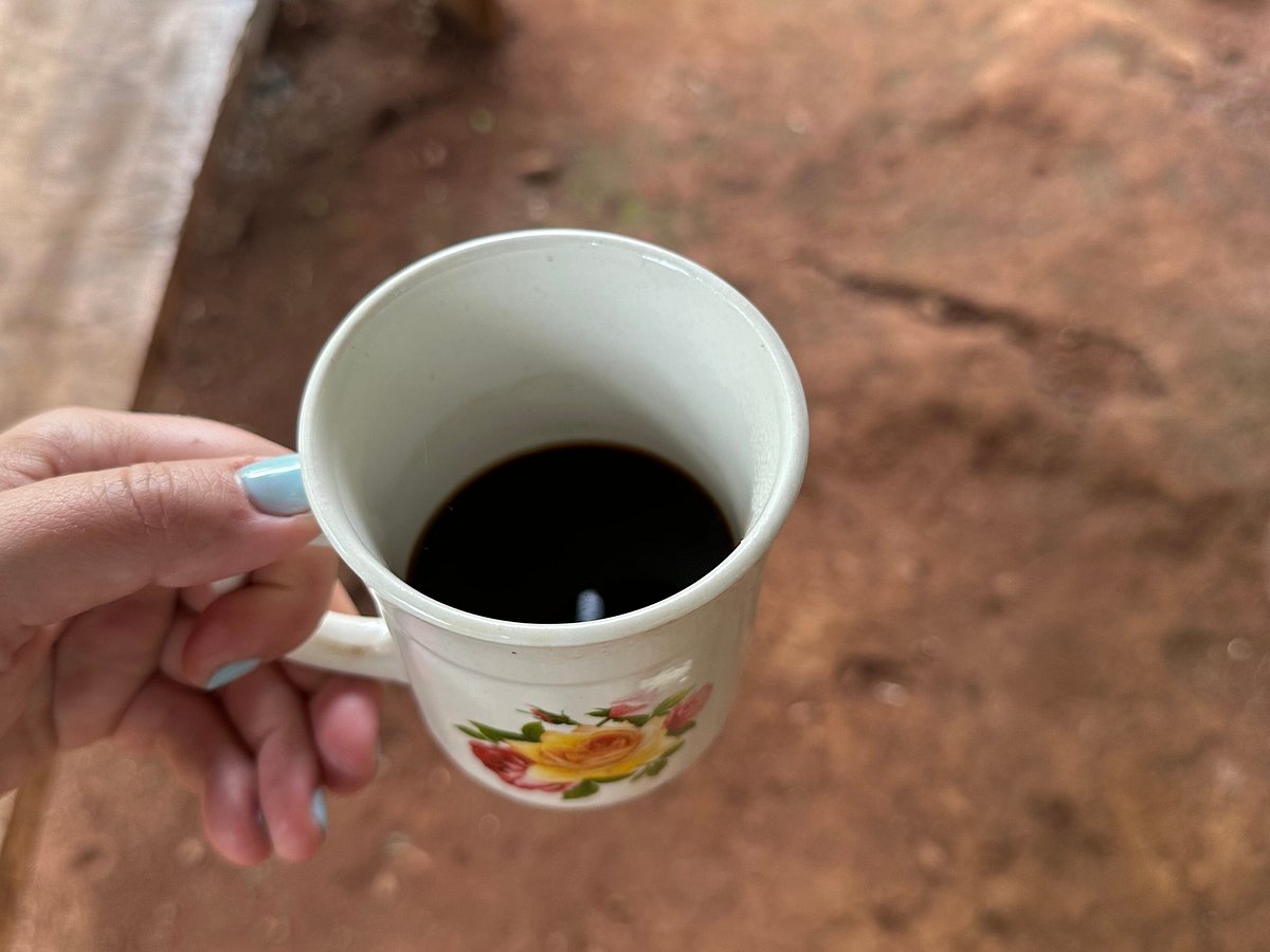 Waterfalls of Materuni & Coffee Tasting