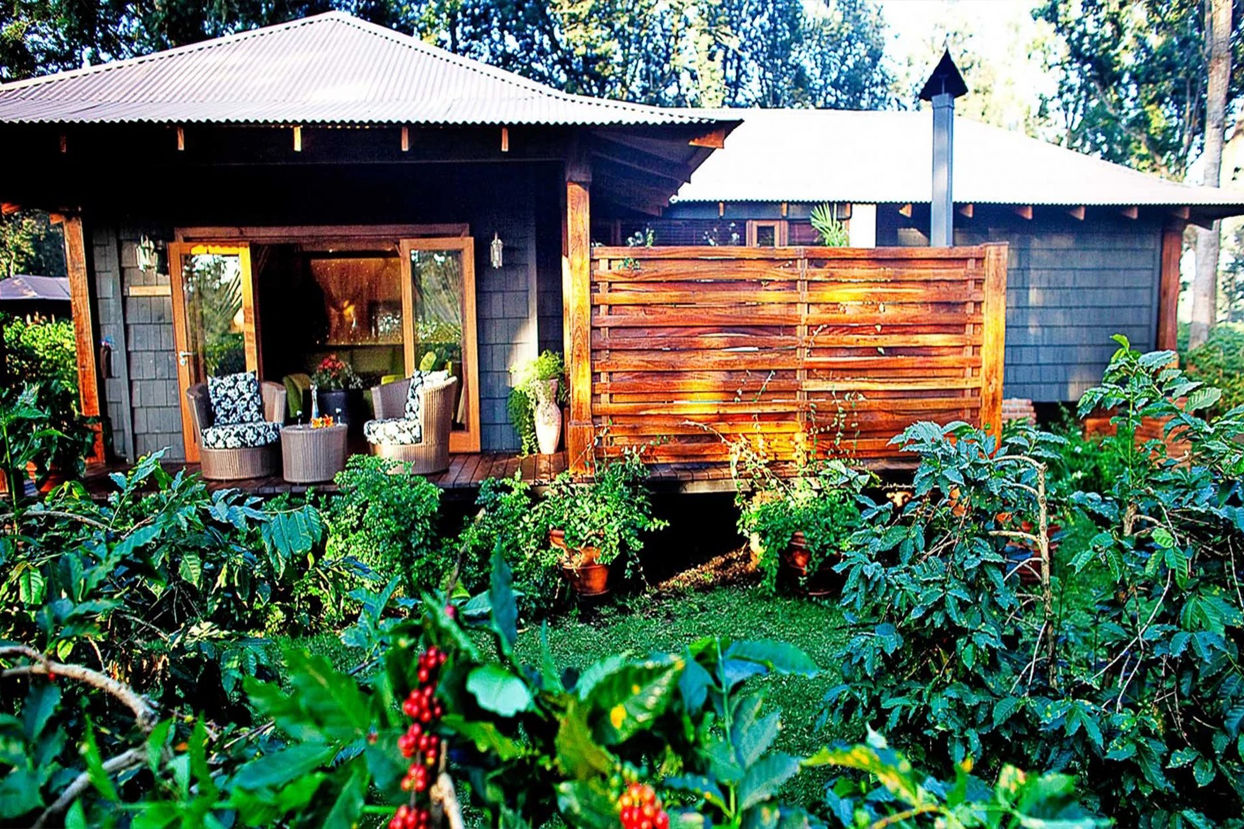 Materuni Waterfalls & Coffee Tour