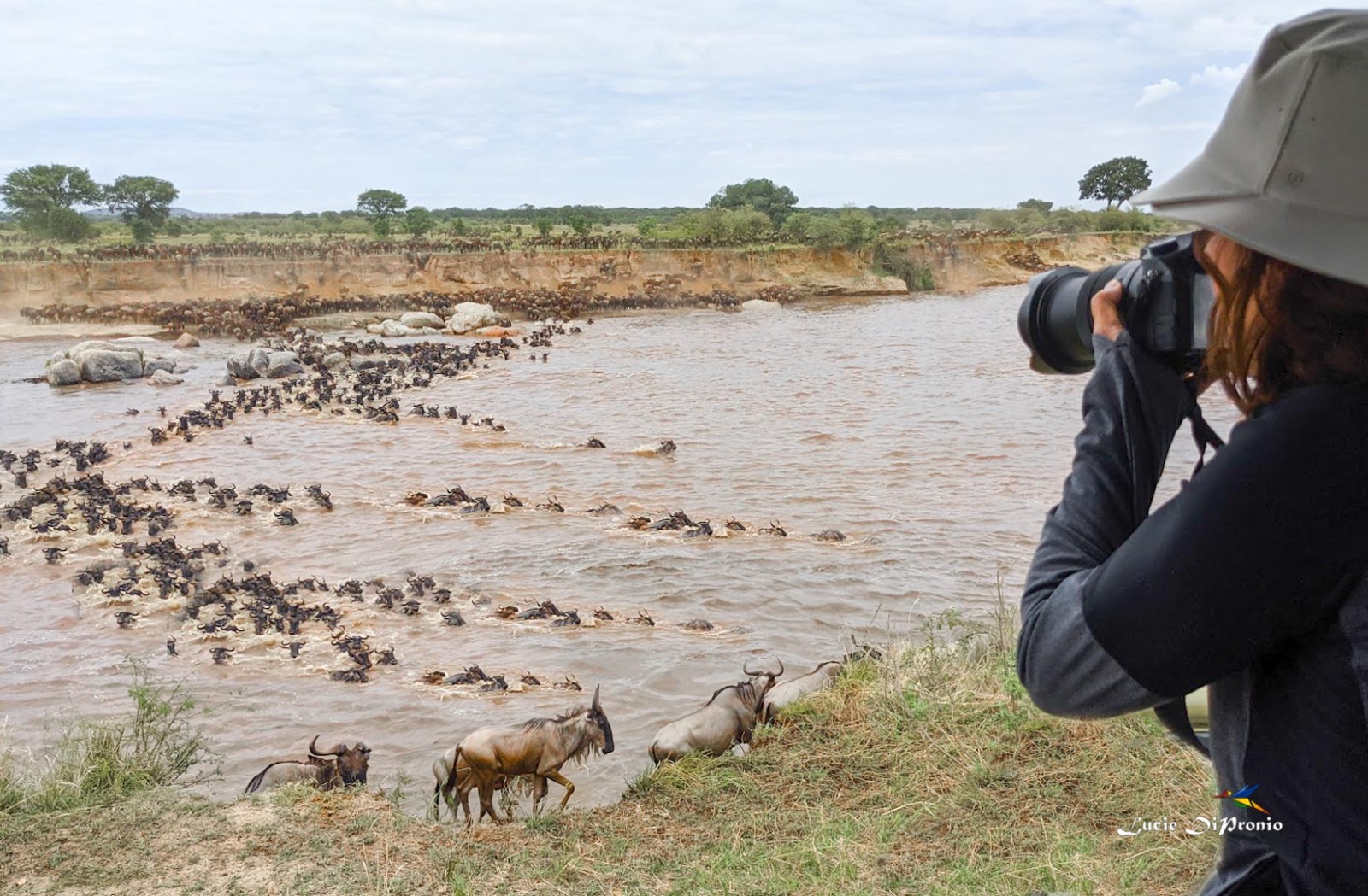 12 Days Northern Migration Safari and Ol Doinyo Lengai Trekking