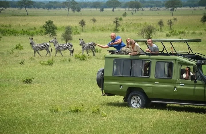 14 Days Grand Tanzania Wildlife & Coast Adventure