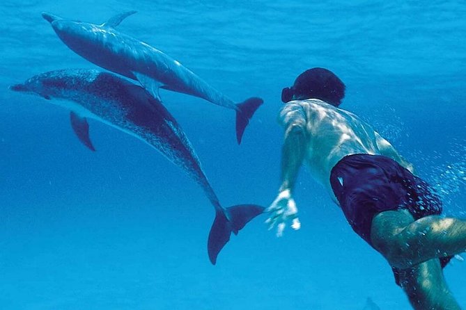 1 Day Private Dolphin Tour Zanzibar