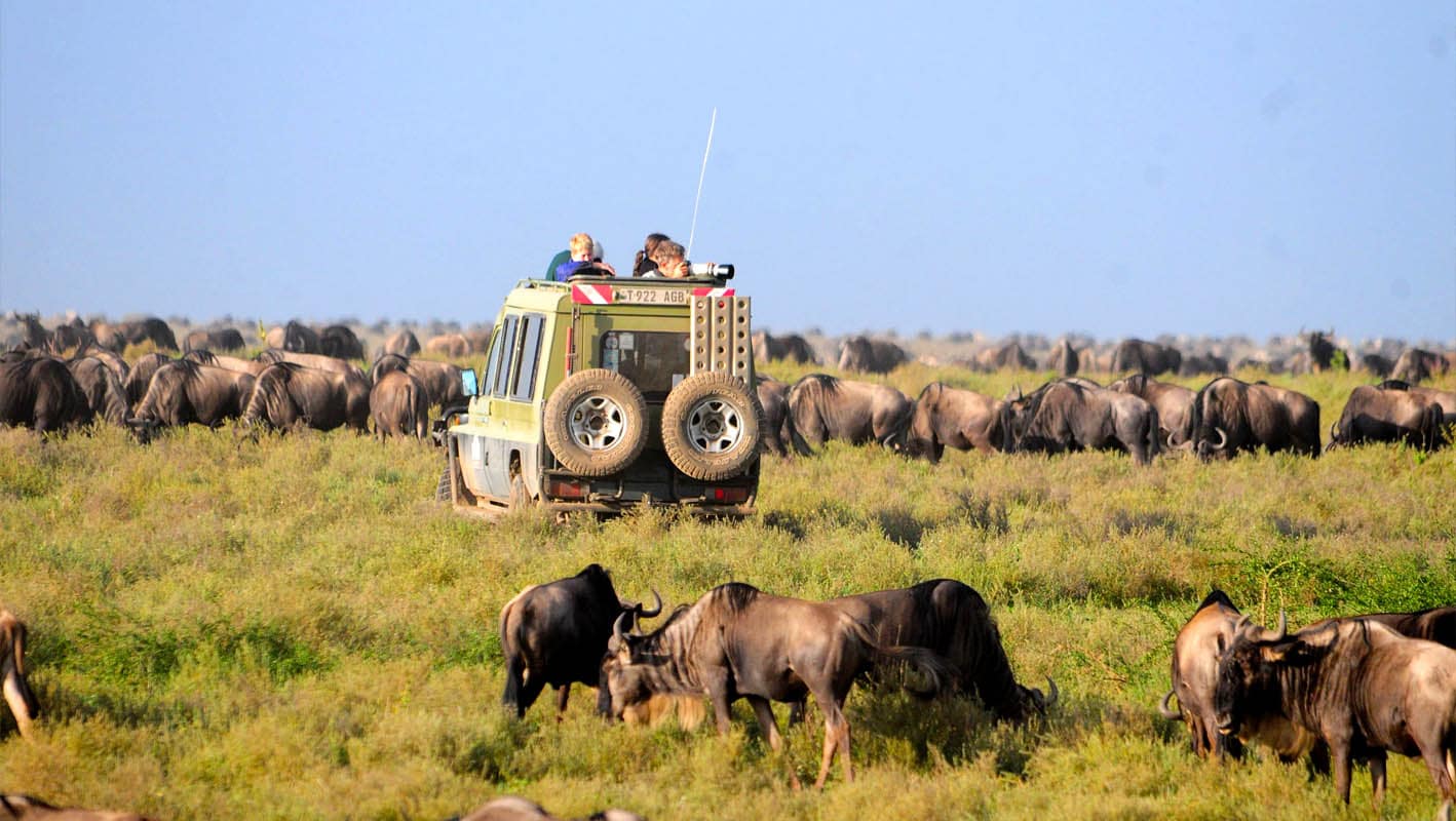 Ultimate 6-Day Tanzania Wildlife Tour
