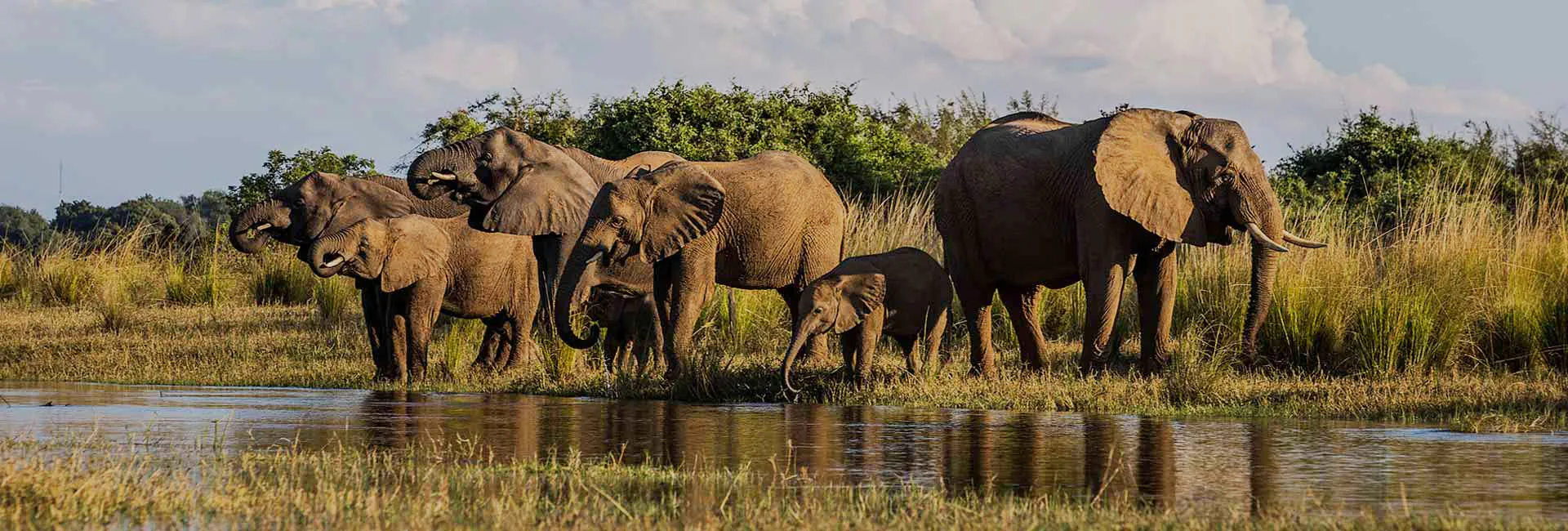 5 Days Luxury Fly-In Safari from Zanzibar to Nyerere & Ruaha National Parks