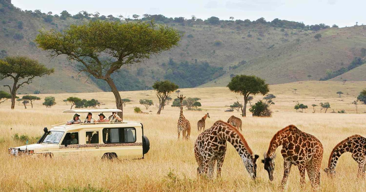 Mount Meru climb + Serengeti safari package