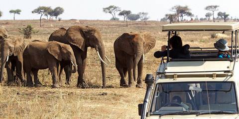 Mount Meru climb + Serengeti safari package